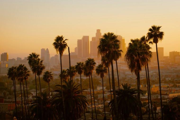 Palm trees and California skyline