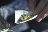 person holding marijuana joint